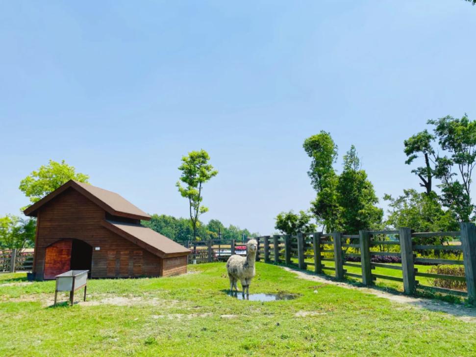 五月成都周边网红打卡地一日游,成都五月周末打卡推荐