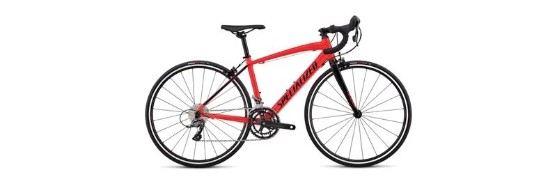 青少年自行车推荐性价比高的品牌,青少年自行车什么品牌好