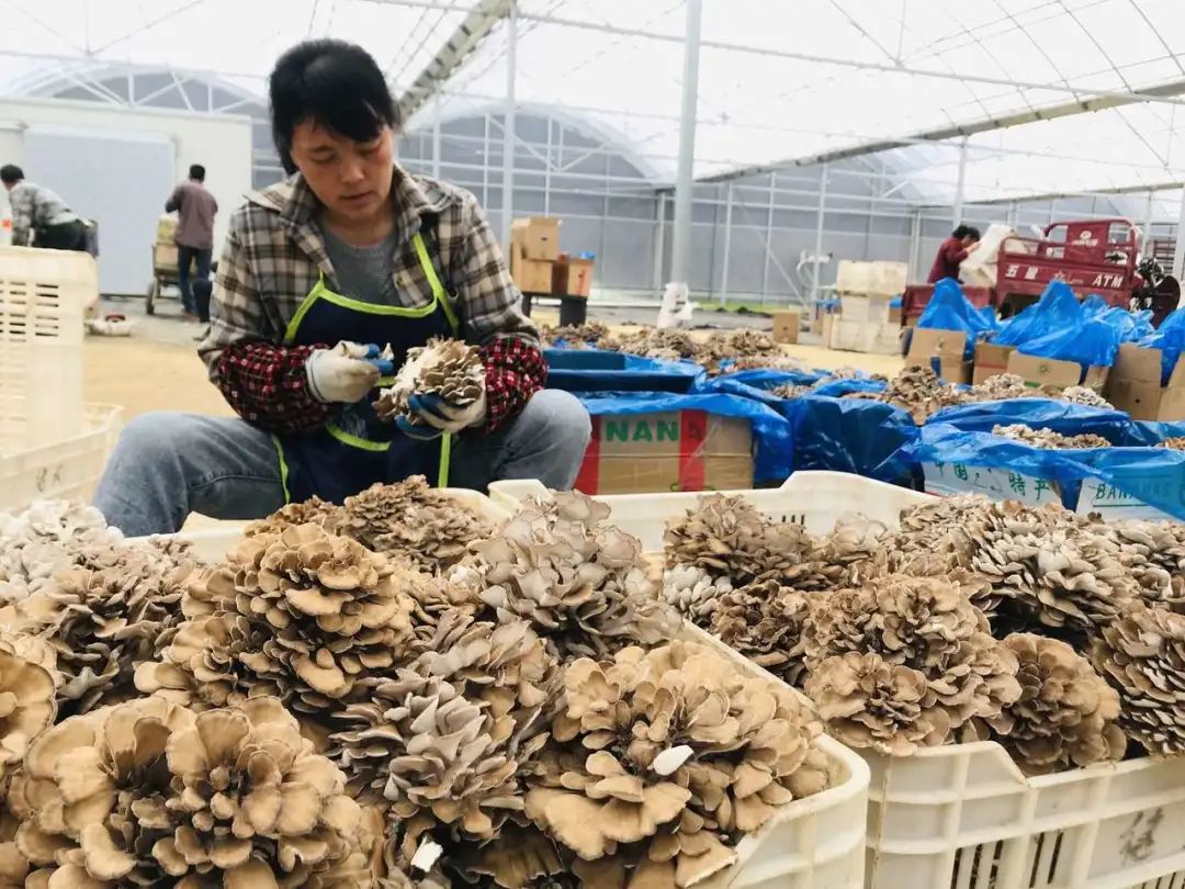 2019年7月20日丽水新闻,丽水新闻快讯