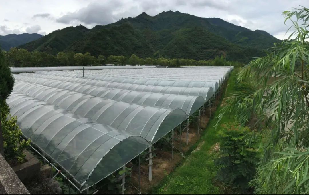 2019年7月20日丽水新闻,丽水新闻快讯