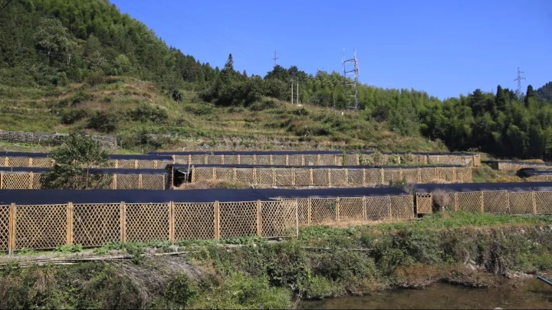 2019年7月20日丽水新闻,丽水新闻快讯