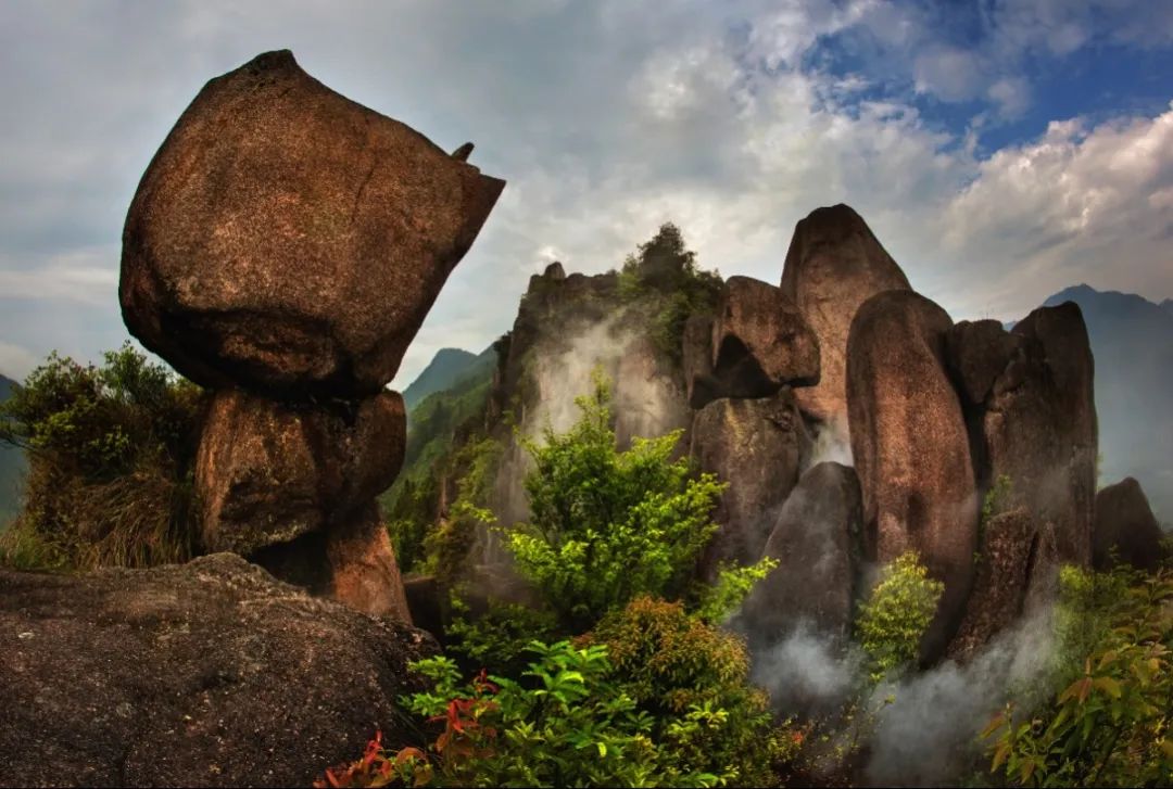 2019年7月20日丽水新闻,丽水新闻快讯