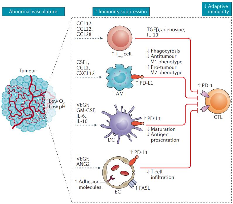 NEJM重磅：创造历史！免疫治疗首次取得晚期肝癌一线治疗成功，患者1年生存率达67.2%|临床大发现