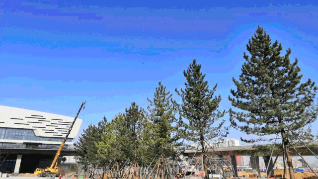 紧锣密鼓的施工现场,热火朝天的装修施工进行中