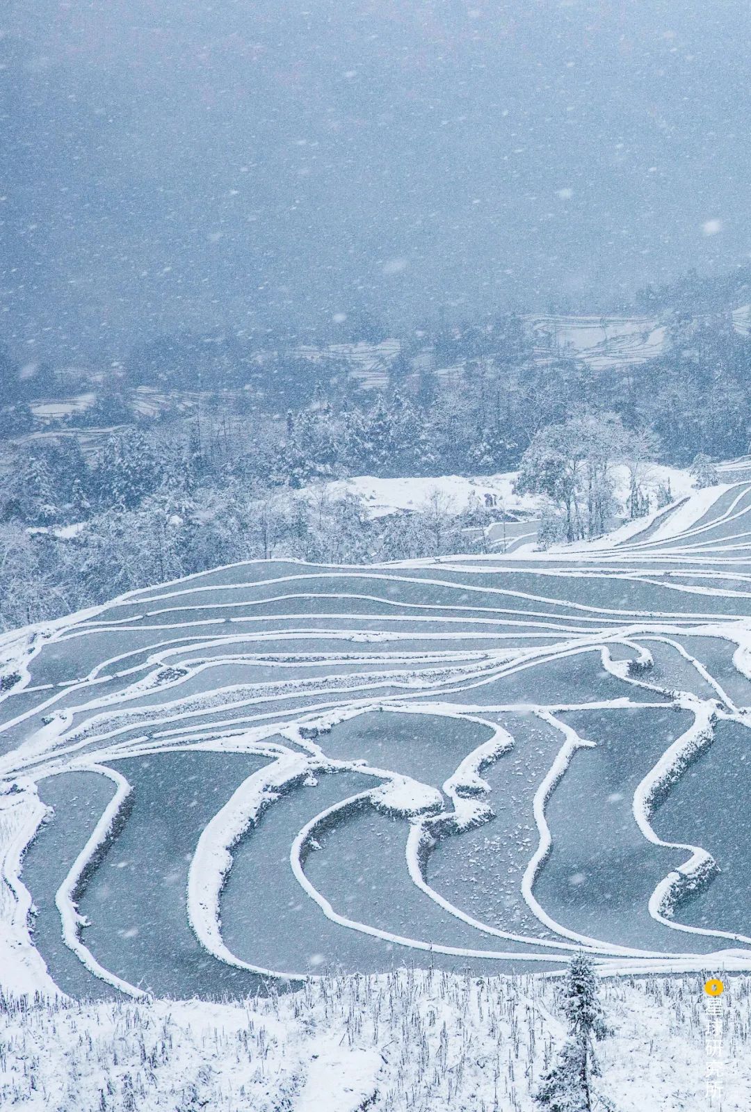 云南红河景色迷人,云南红河州哪些地方自然风光美