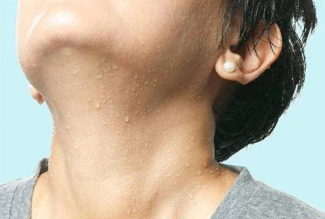 日本人太疯狂！羊奶做成了T恤，比冈本001薄，穿上3秒凉爽5°