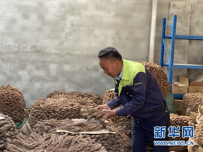 岷县到合作路线,岷县到合作怎么走