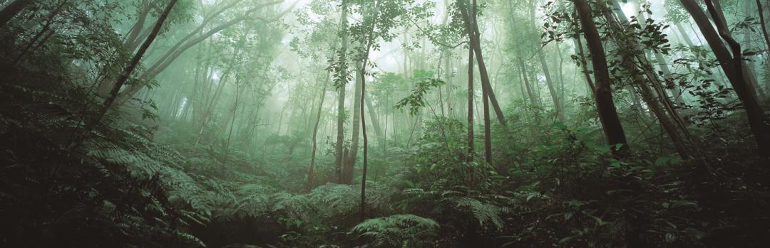 肇庆鼎湖山周边便宜的酒店,肇庆鼎湖山景区住宿