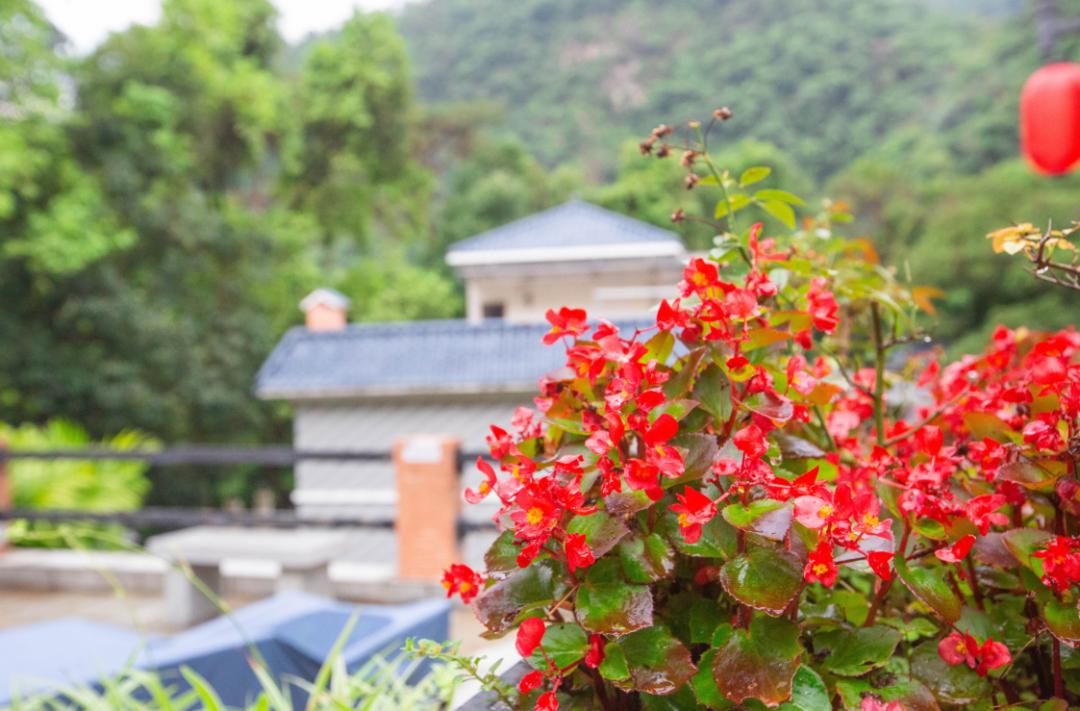 肇庆鼎湖山周边便宜的酒店,肇庆鼎湖山景区住宿