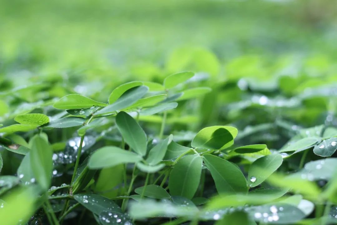 积极选择手术或有创性治疗方法|《更年期的聪颖》第八章第6节