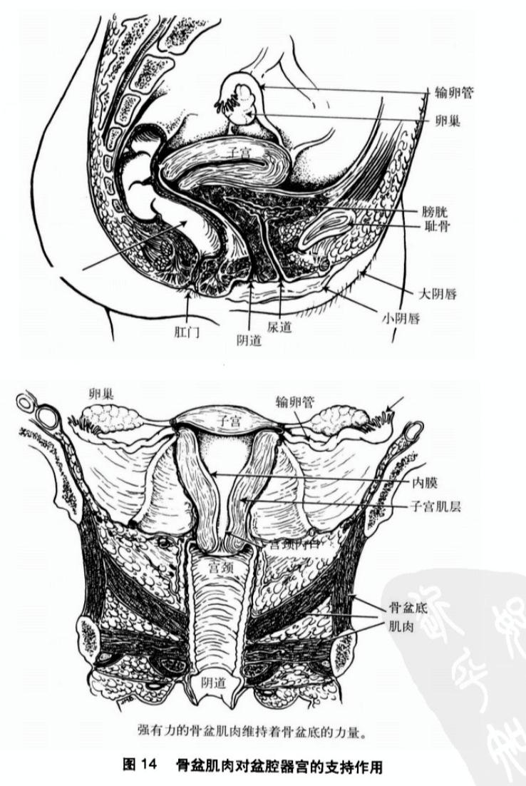 积极选择手术或有创性治疗方法|《更年期的聪颖》第八章第6节