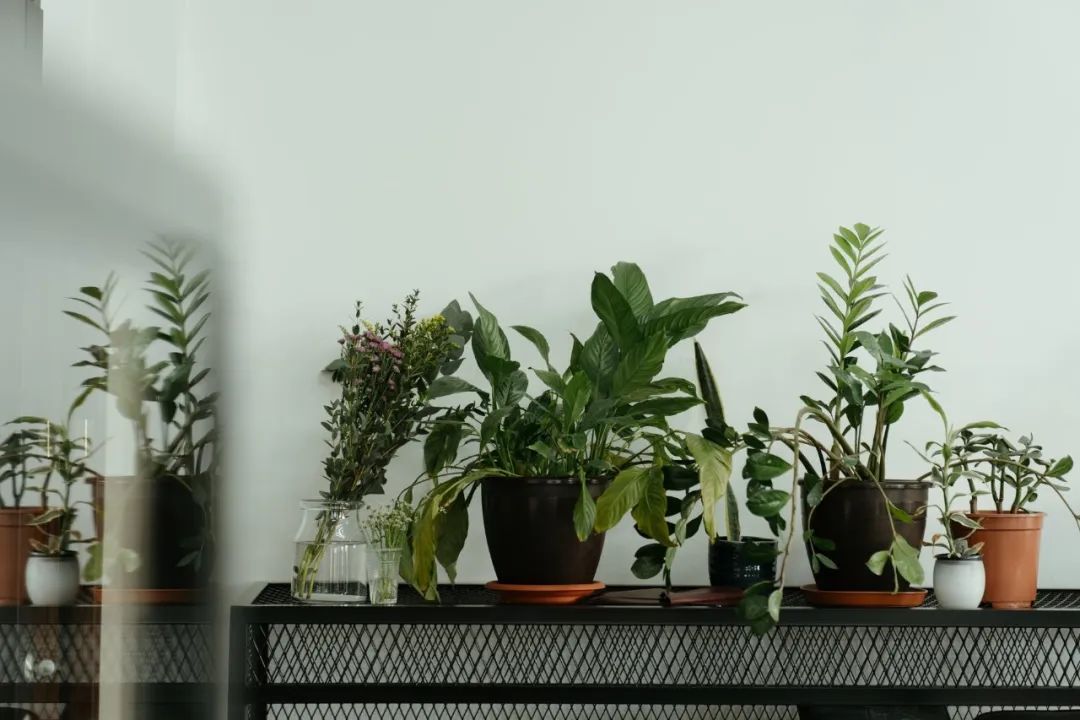 积极选择手术或有创性治疗方法|《更年期的聪颖》第八章第6节