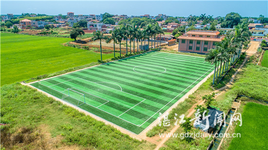 雷州市雷高镇题桥村刑事案件,雷州市雷高镇题桥村2001年案件