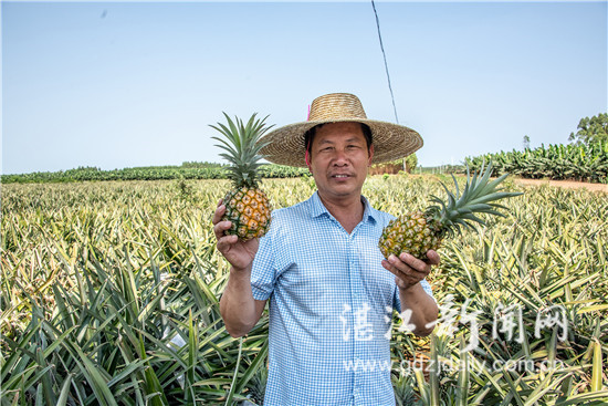 雷州市雷高镇题桥村刑事案件,雷州市雷高镇题桥村2001年案件