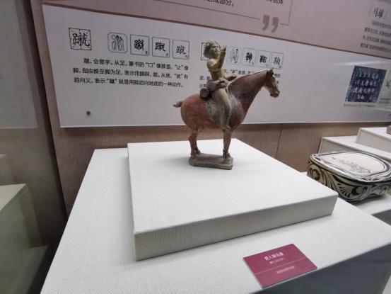 在草原上感受一下骑马的快乐,在草原奔跑是一种享受