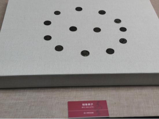 在草原上感受一下骑马的快乐,在草原奔跑是一种享受