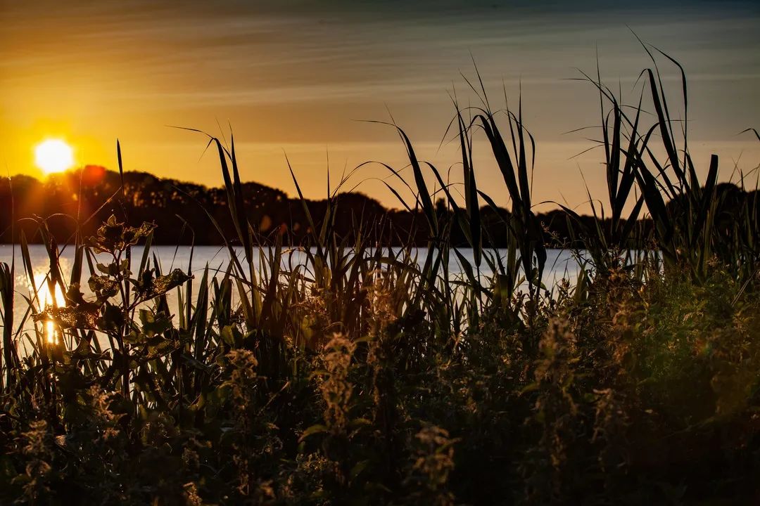 陈百仪|他们经过的地方鲜花盛开