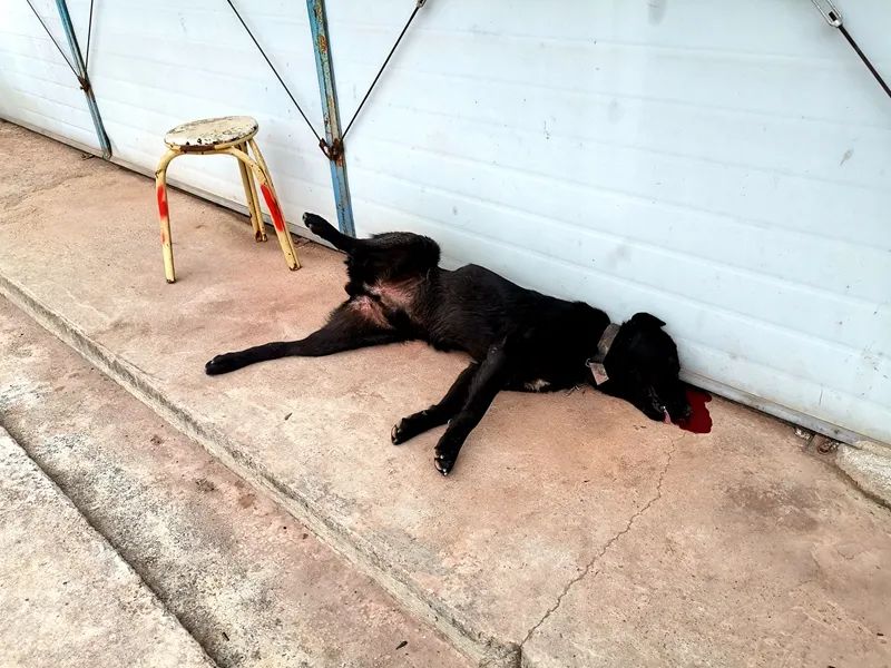 治庸便民警方报案详解,警方整治扰民行为新闻