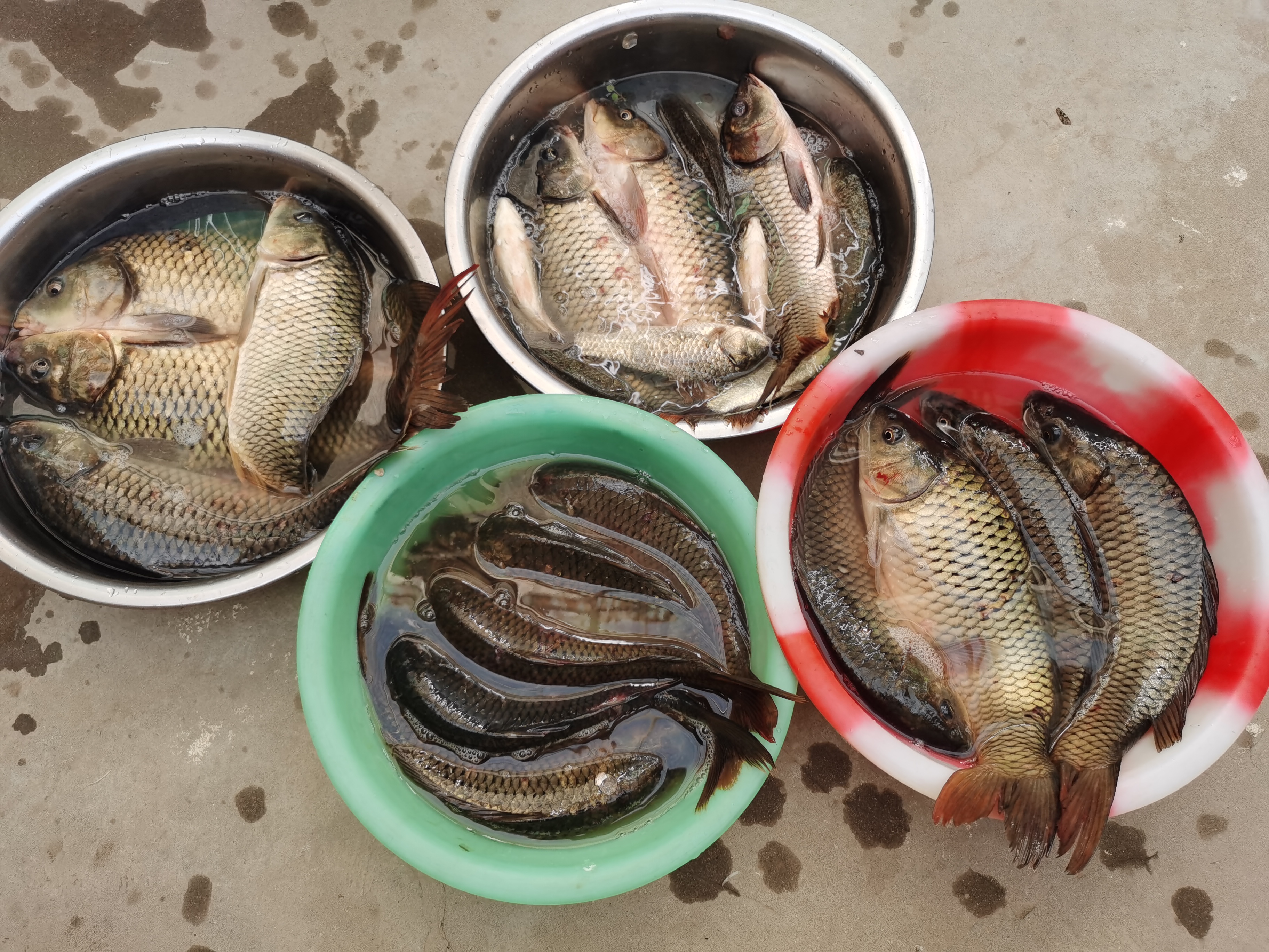 台钓发展历程,一套完整的台钓装备