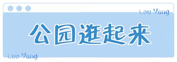 洛阳适合下午游玩的地方,洛阳旅游攻略好玩的夜市