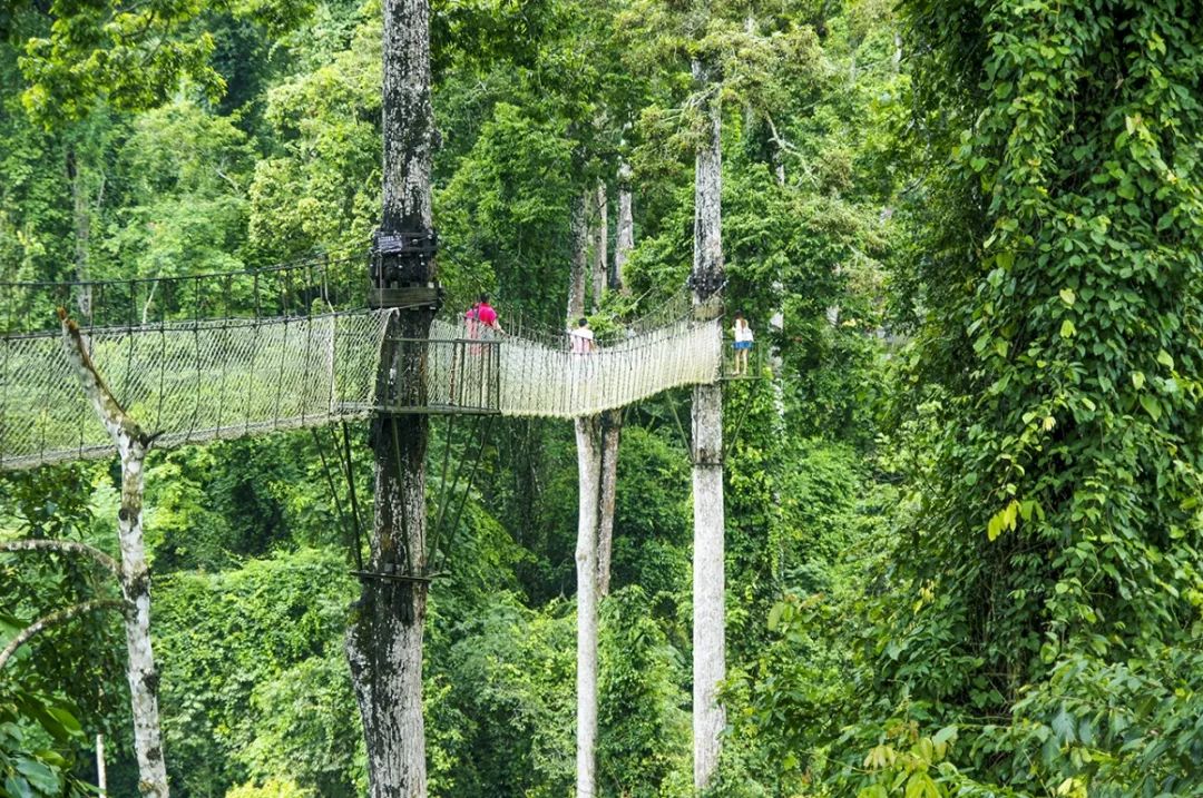 端午不加价水上别墅,端午不加价别墅惠州