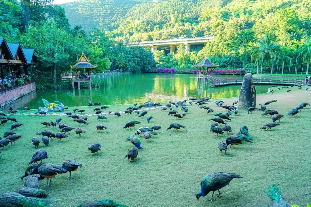 端午不加价水上别墅,端午不加价别墅惠州