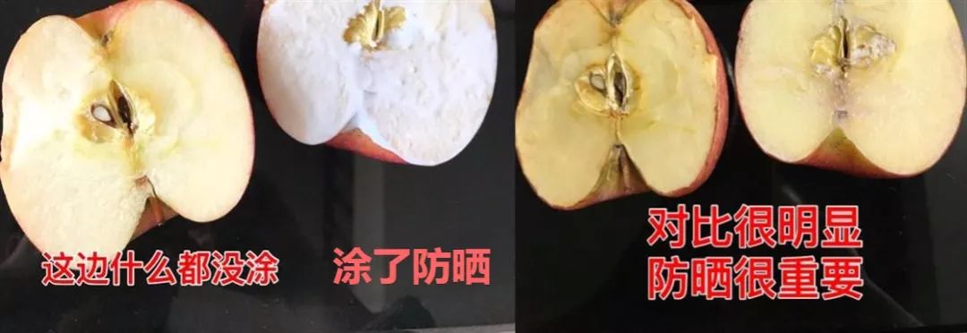 泰国人用什么防晒,泰国人参防晒