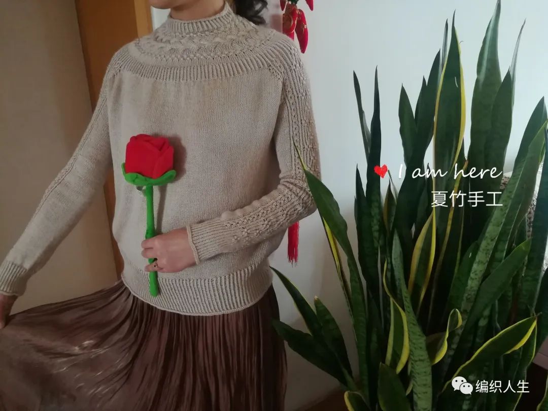 简单好看的棒针织毛衣图案,女生套头棒针粗线花线毛衣教程