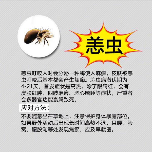 夏季粮食防虫小妙招,夏季防虫小妙招