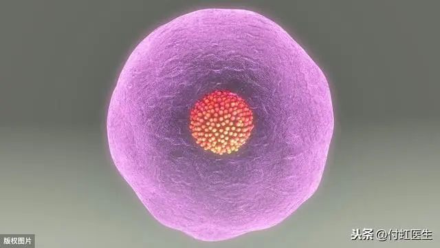 27岁月经乱了FSH两次升高，我卵巢早衰了吗？