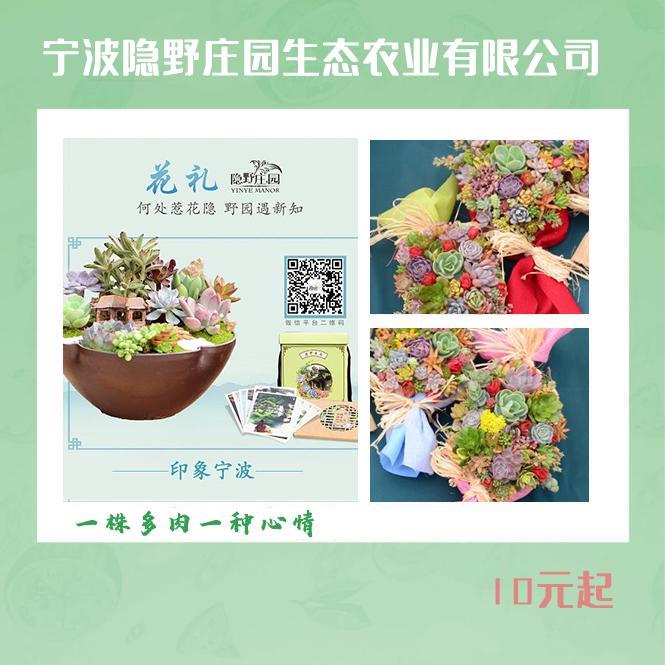 特价秒杀只要10元,秒杀价超便宜