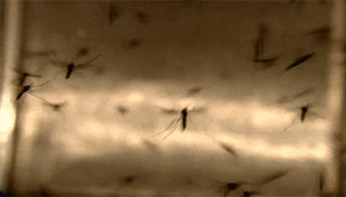 教你2分钟快速止痒,一小瓶止痒的药膏