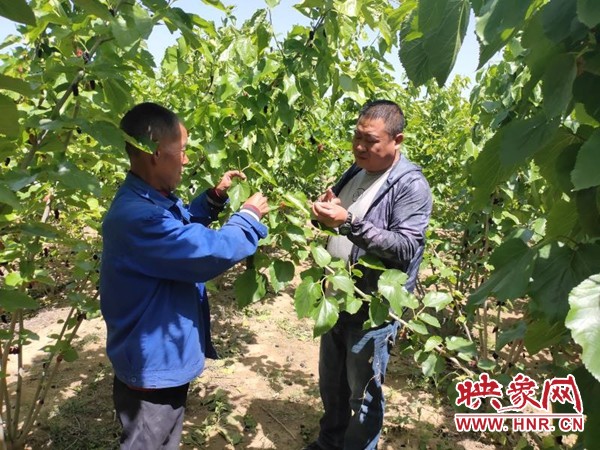 央视新闻直播河南降雨排名,河南持续降雨央视新闻