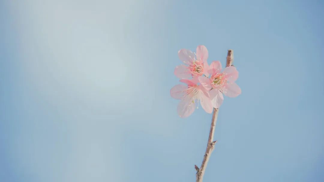 更年期的健康聪颖,更年期的聪颖剧情