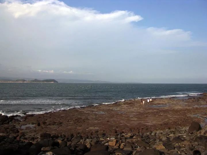 一半是火焰一半是海水啥意思,一半是火焰一半是海水全文