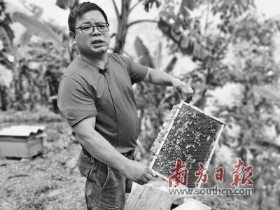 罗湖区帮扶国家贫困县脱贫摘帽