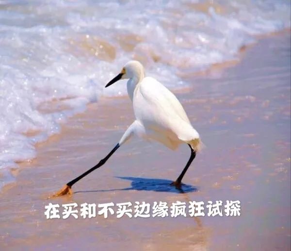 喜宝原装进口辅食品种,喜宝hipp有机婴幼儿水果谷物粉200g