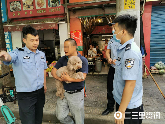 铲屎官关注避免自家宠物惹火,西安抓到禁养犬怎么办