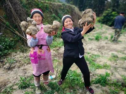 这个周末你又在玩什么手机游戏,这个周末你有什么新的体验