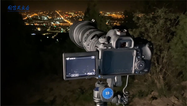 科学日,国际科学日