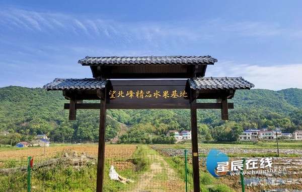 国企唱红歌,国企大合唱