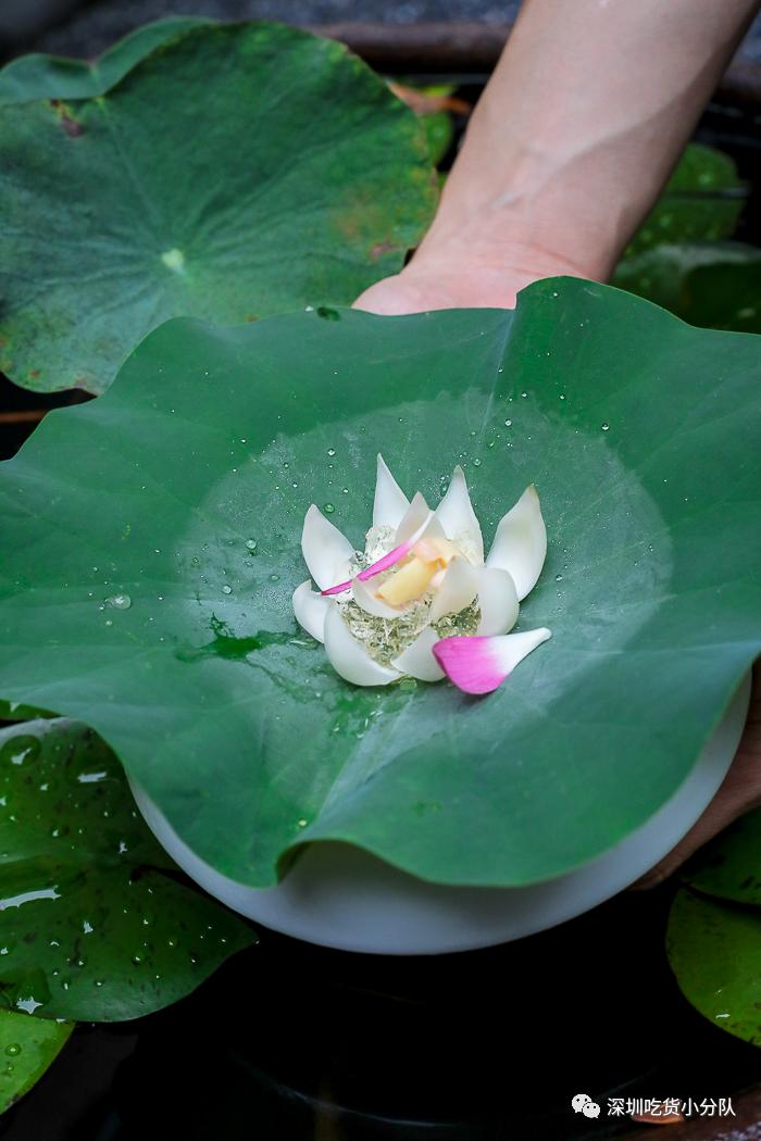 人均1280的餐厅,人均120的砂锅店