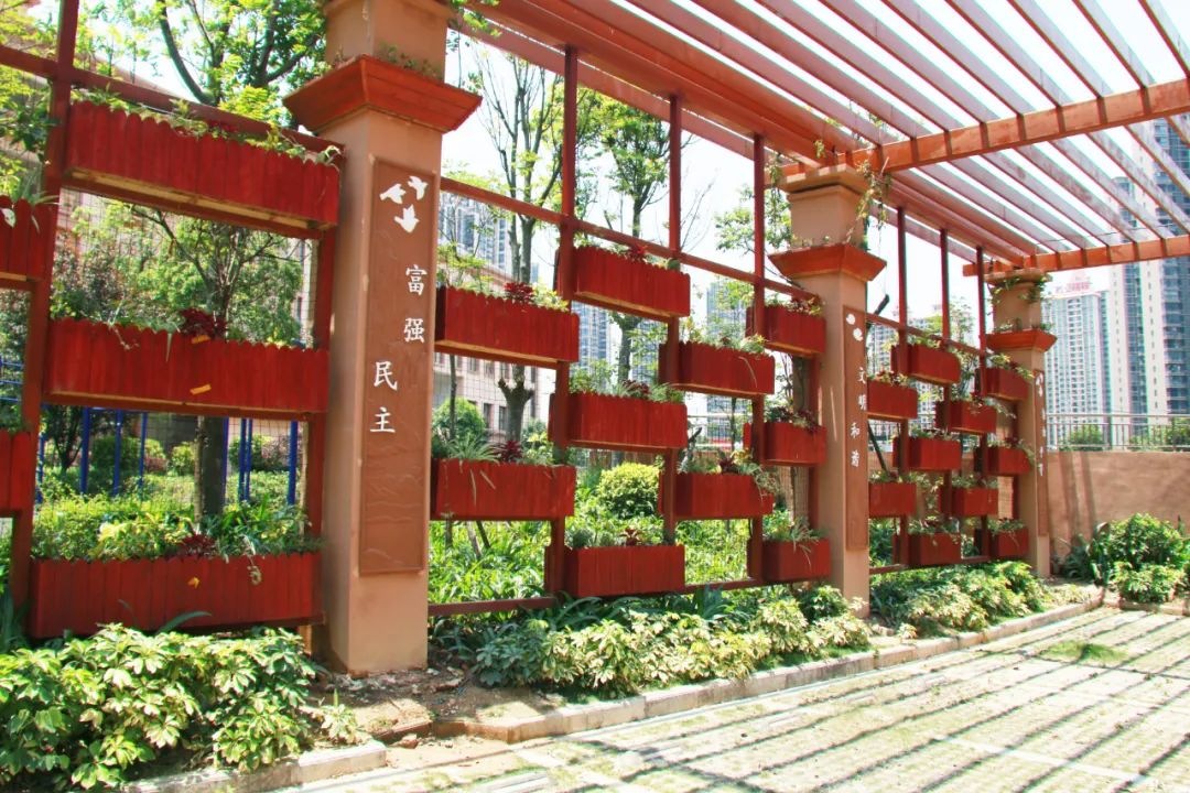 为什么说南宁市民主路小学好,2022年佛子岭民主路小学划分地段