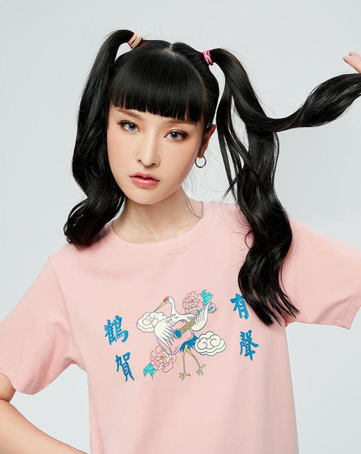 宫廷风洋气衫,宫里穿的衣服