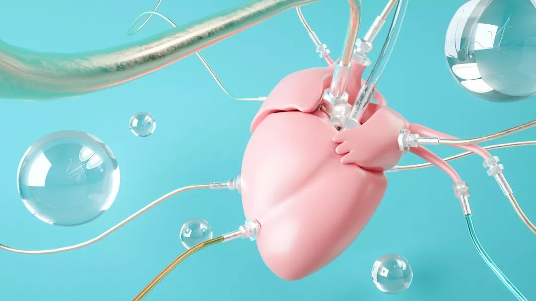 健康|“心律不齐”到底要不要治疗？这一次跟你说明白