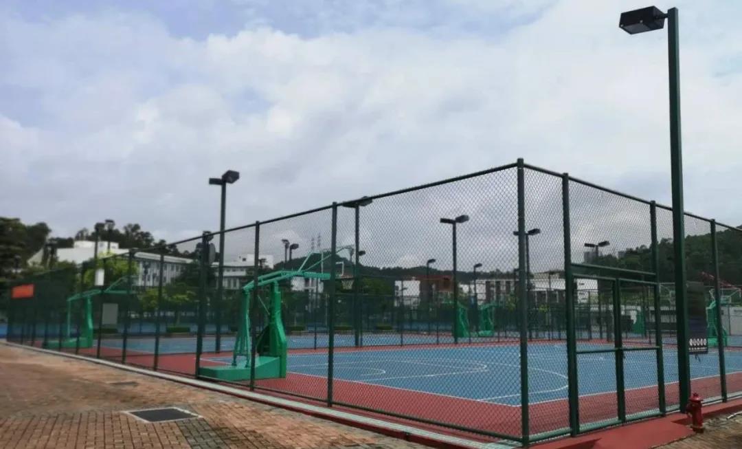 深圳龙岗大运中心体育馆搭建情况,深圳龙岗体育中心体育场
