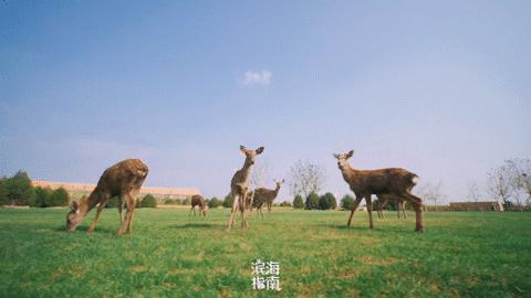 天津市六一都有什么活动,六一假期天津