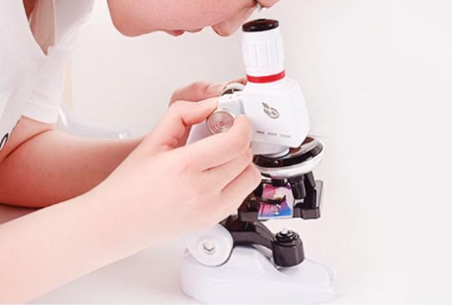 六一儿童节男孩子最喜欢什么玩具,六一儿童节的熊猫娃娃玩具礼物