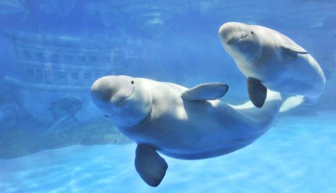 天津市六一都有什么活动,六一假期天津