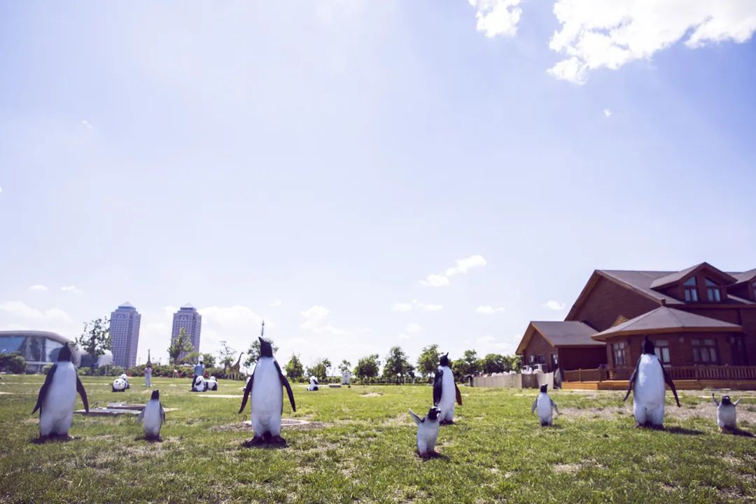 天津市六一都有什么活动,六一假期天津